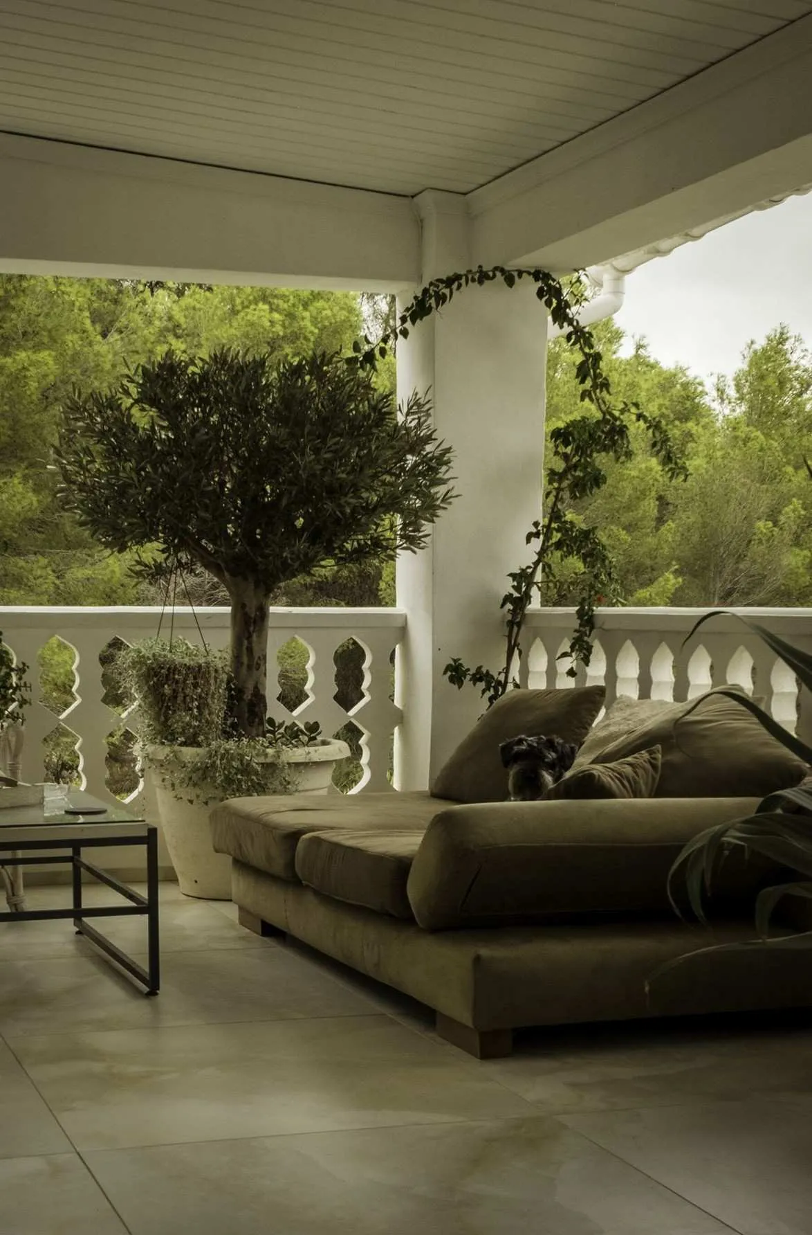 Top-floor Apartment 7