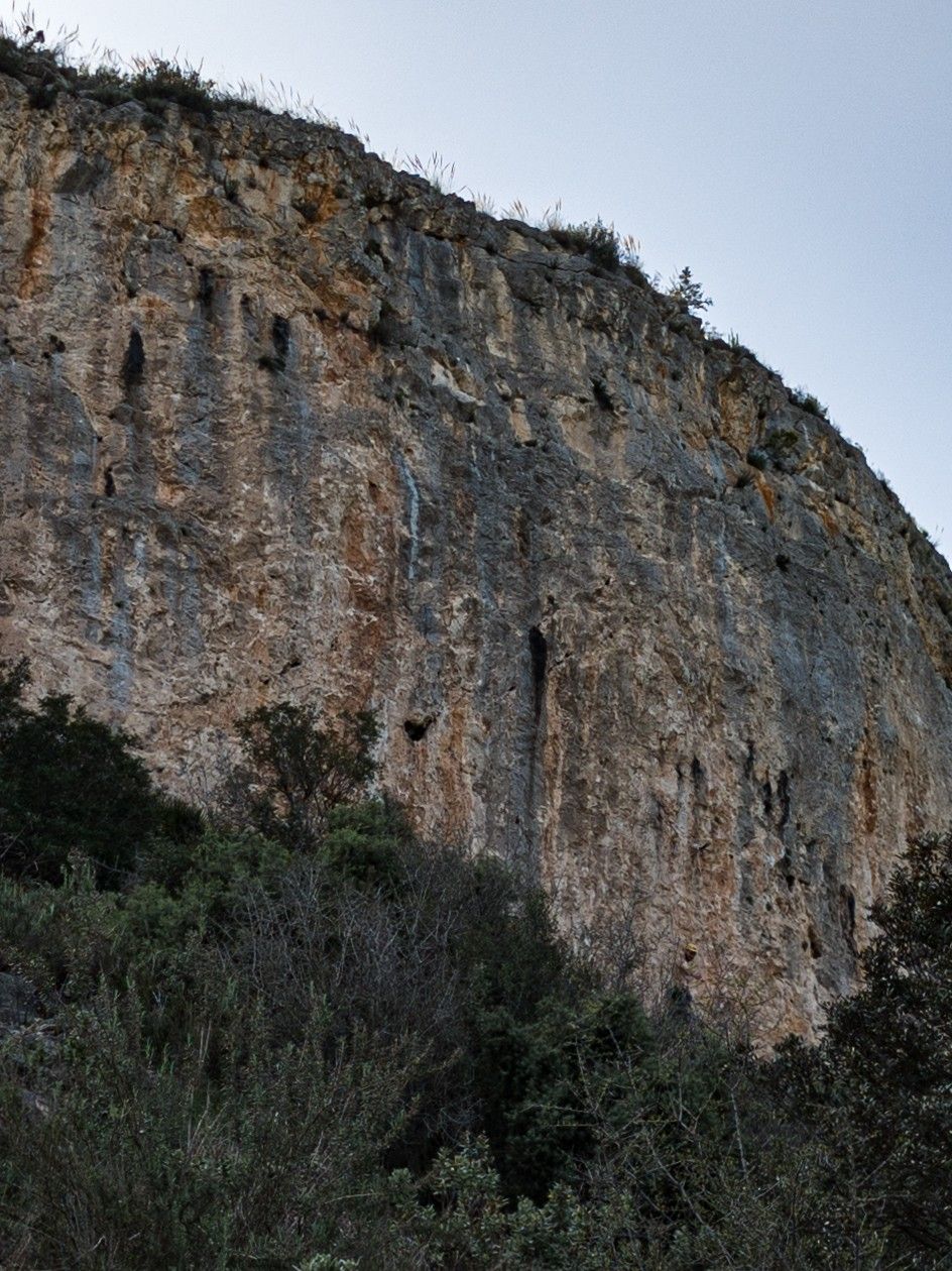 Panoramic mountain view